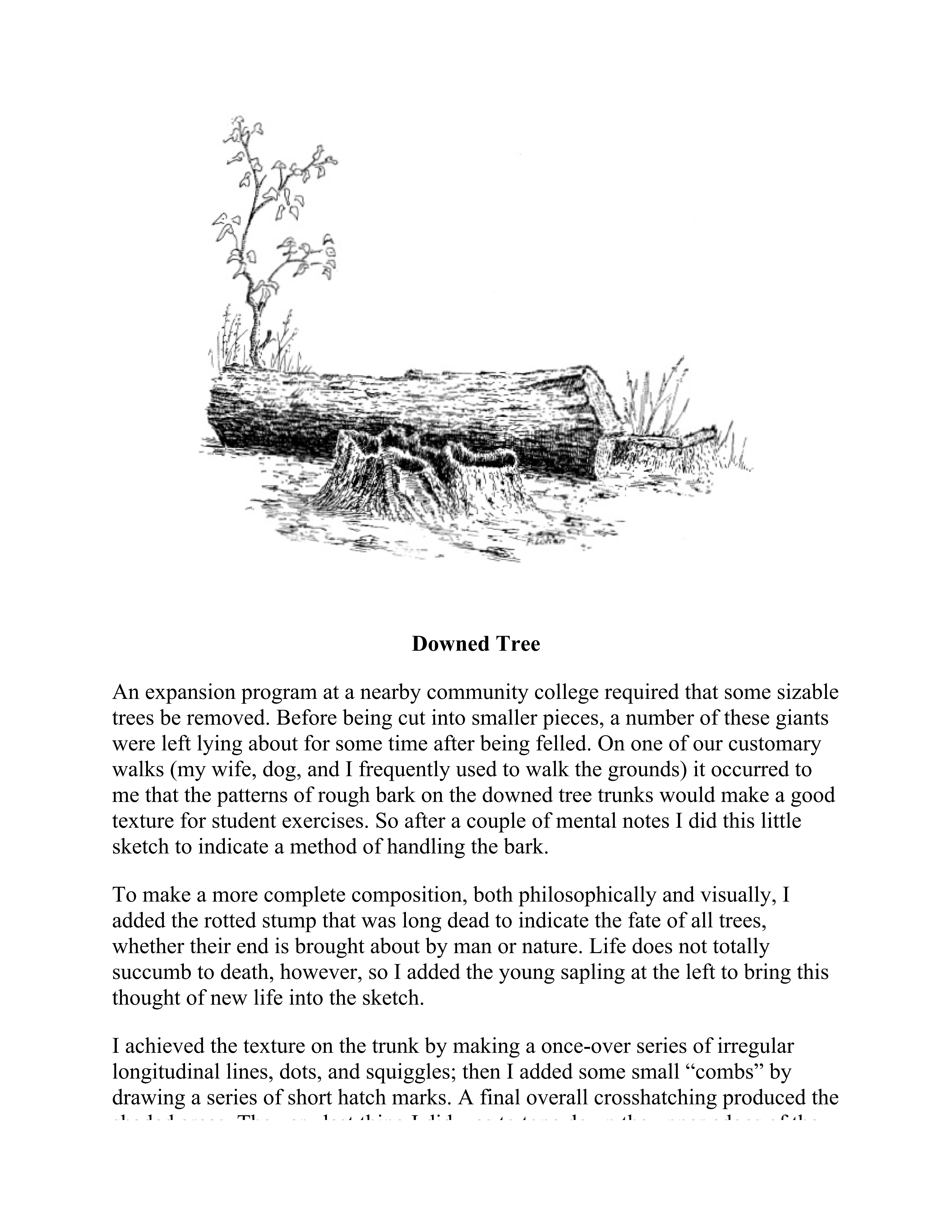 آموزش نقاشی طراحی سیاه قلم شهرری